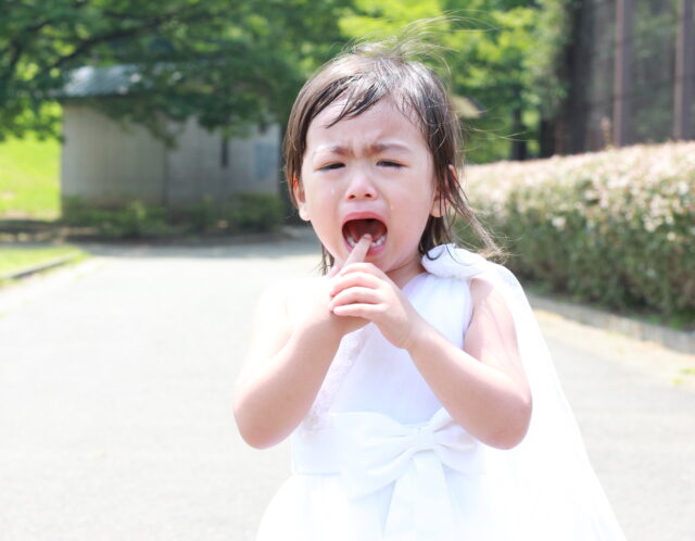 兄弟げんかも、泣き顔も、全部宝物。“そのまま”を撮る意味｜幸田町のノーブルスチュアート