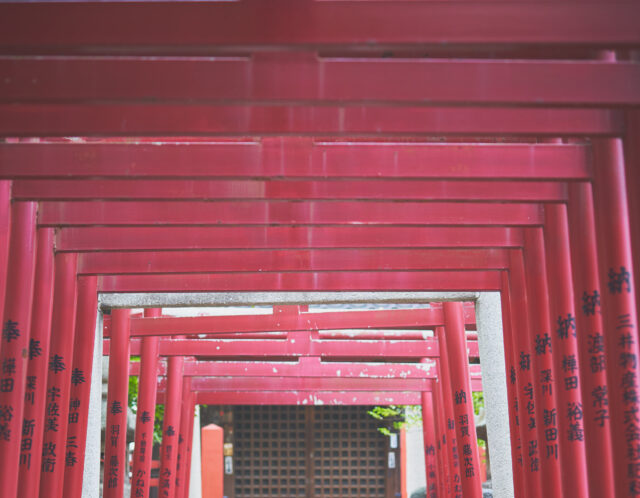 【保存版】七五三・お宮参りで人気の神社まとめ｜幸田町のフォトスタジオNOBLE STUARTからアクセスしやすいスポット